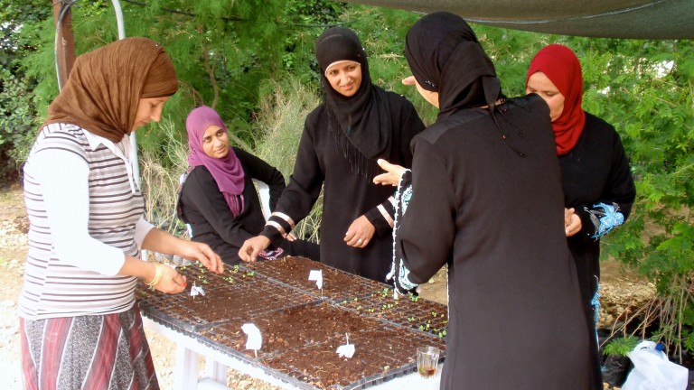 project-wadi-attir-indigenous-veg-initiative-768x432
