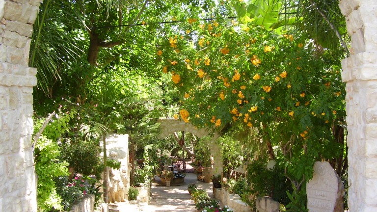  Jardines de El Mona. Vía wikimedia.org.