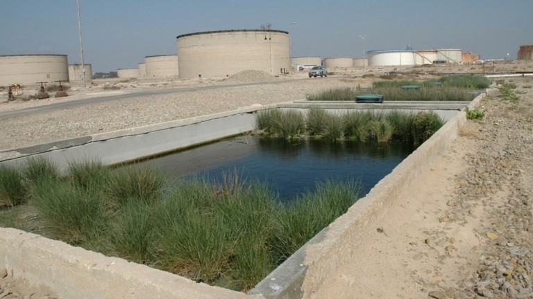 Las plantas en este estanque de Ayala trata las aguas residuales de esta instalación petrolífera de Kiryat Haim, en Israel. Foto: cortesía
