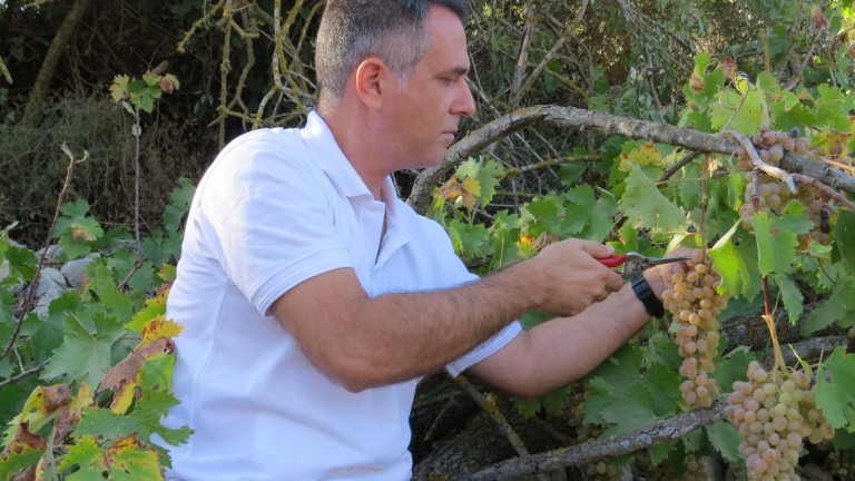 El enólogo Elyashiv Drori en su viñedo en Gvaot. Foto cortesía de la Universidad Ariel