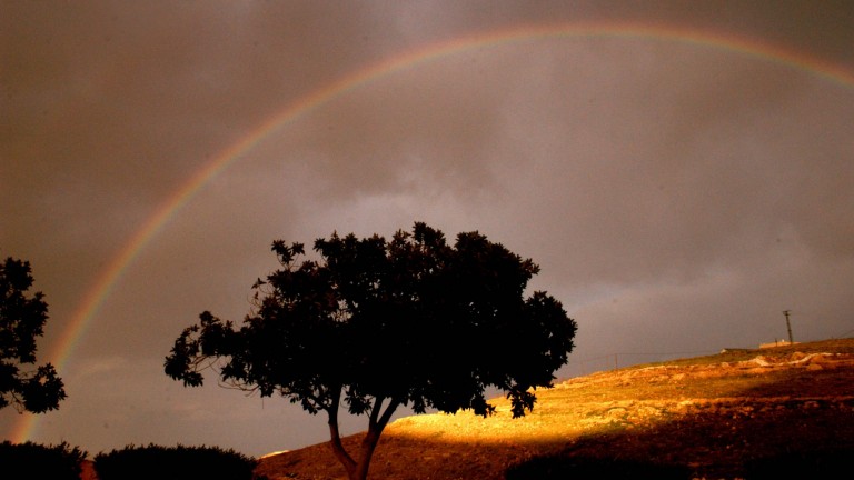 A un chubasco en el Desierto de Judea, el 1 de enero de este año, le siguió este arco iris. Foto de Yossi Zamir/FLASH90. 